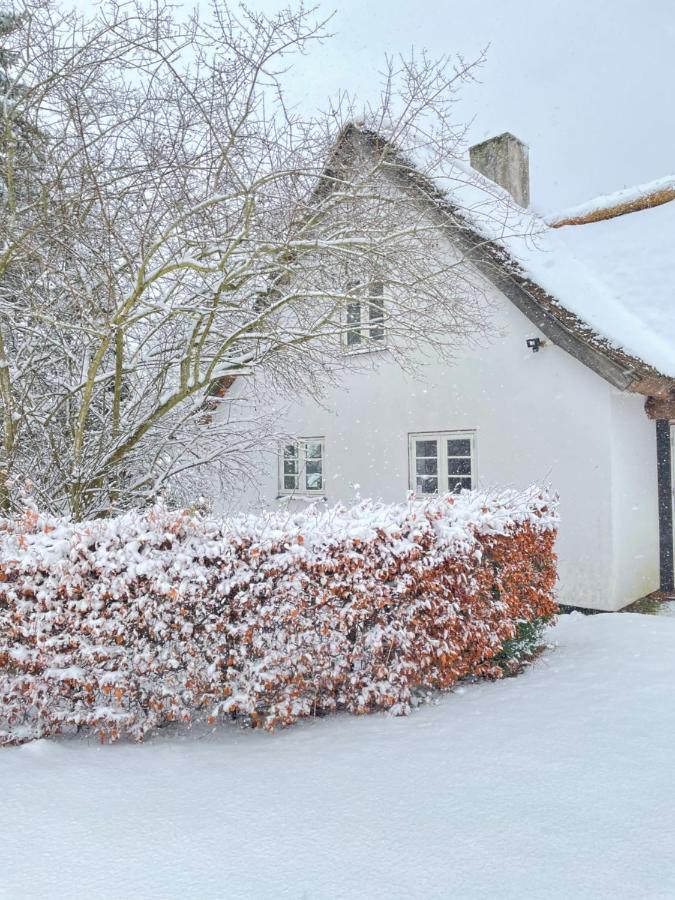 Apple Cottage Vejby Exteriér fotografie