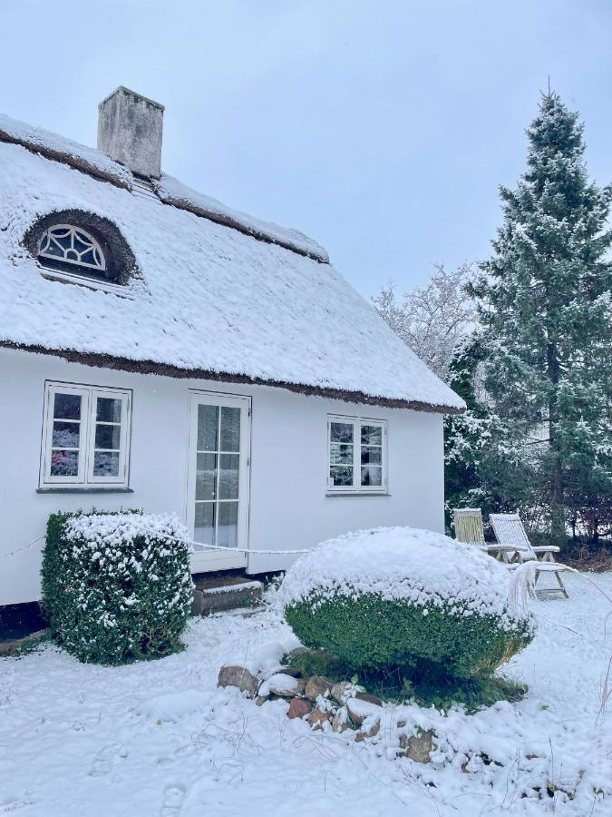 Apple Cottage Vejby Exteriér fotografie