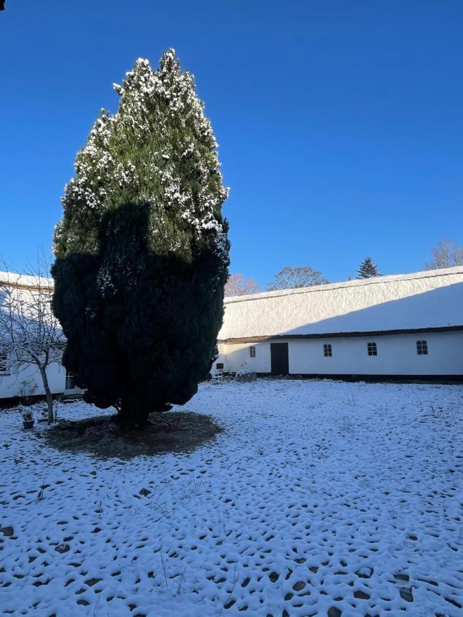 Apple Cottage Vejby Exteriér fotografie