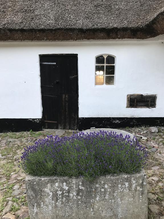 Apple Cottage Vejby Exteriér fotografie