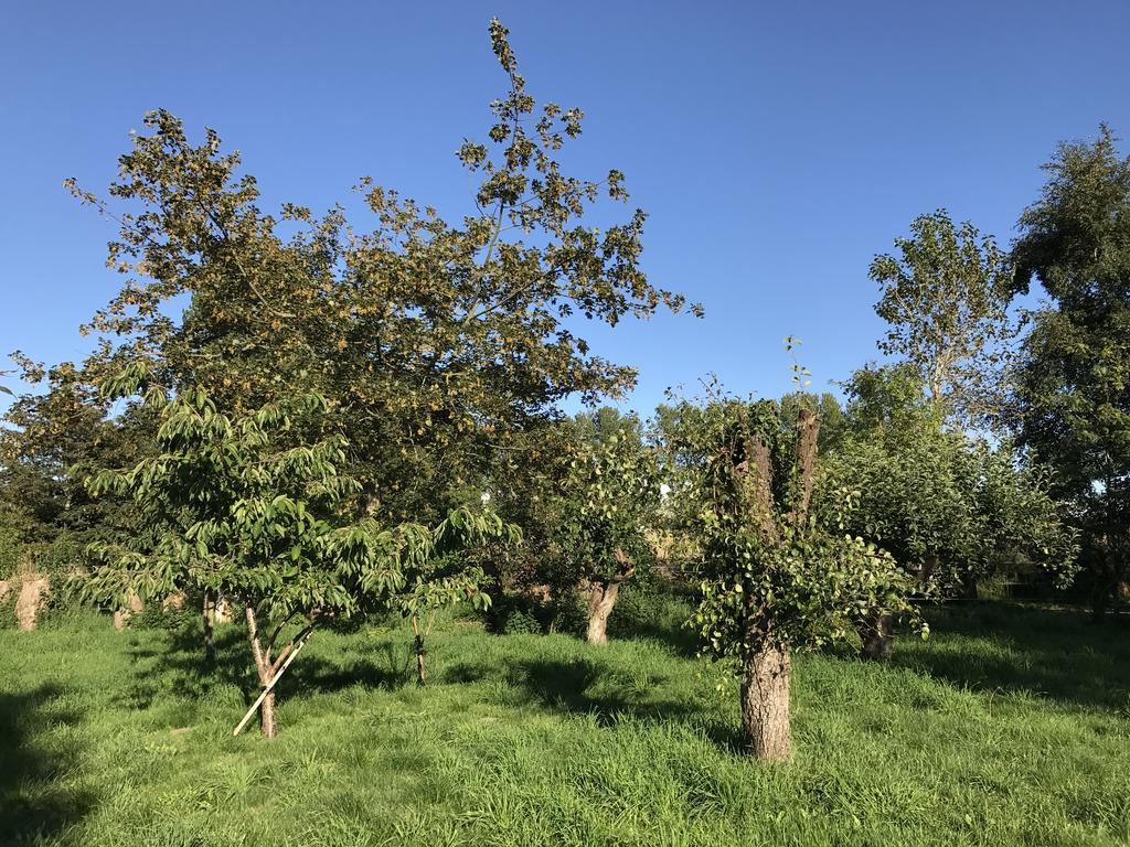 Apple Cottage Vejby Exteriér fotografie