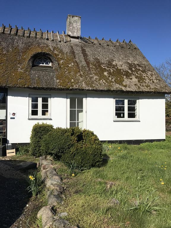 Apple Cottage Vejby Exteriér fotografie