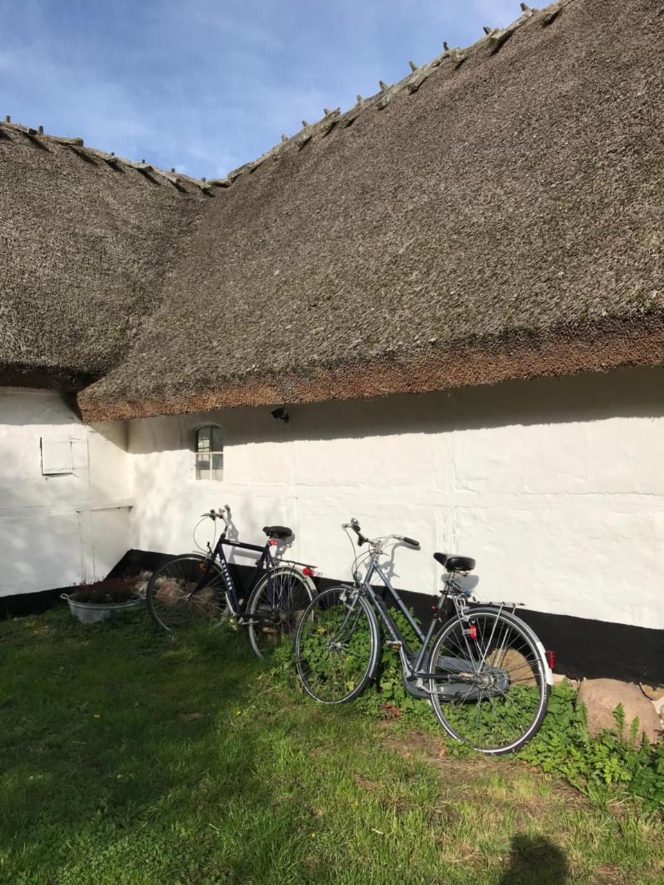 Apple Cottage Vejby Exteriér fotografie